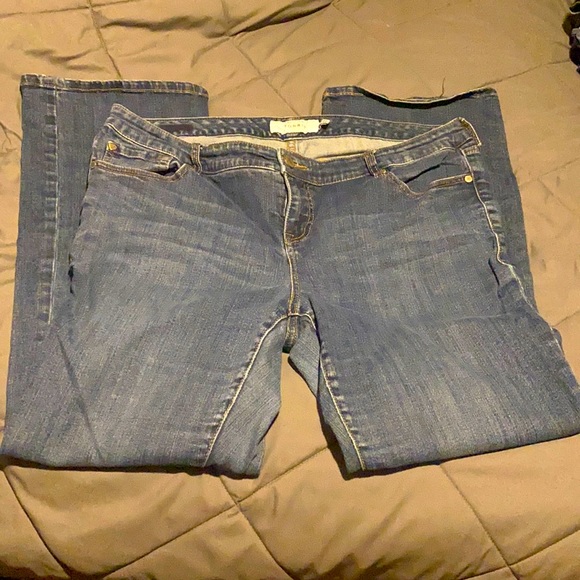 ๐๐Torrid Bootcut Jeans ๐๐